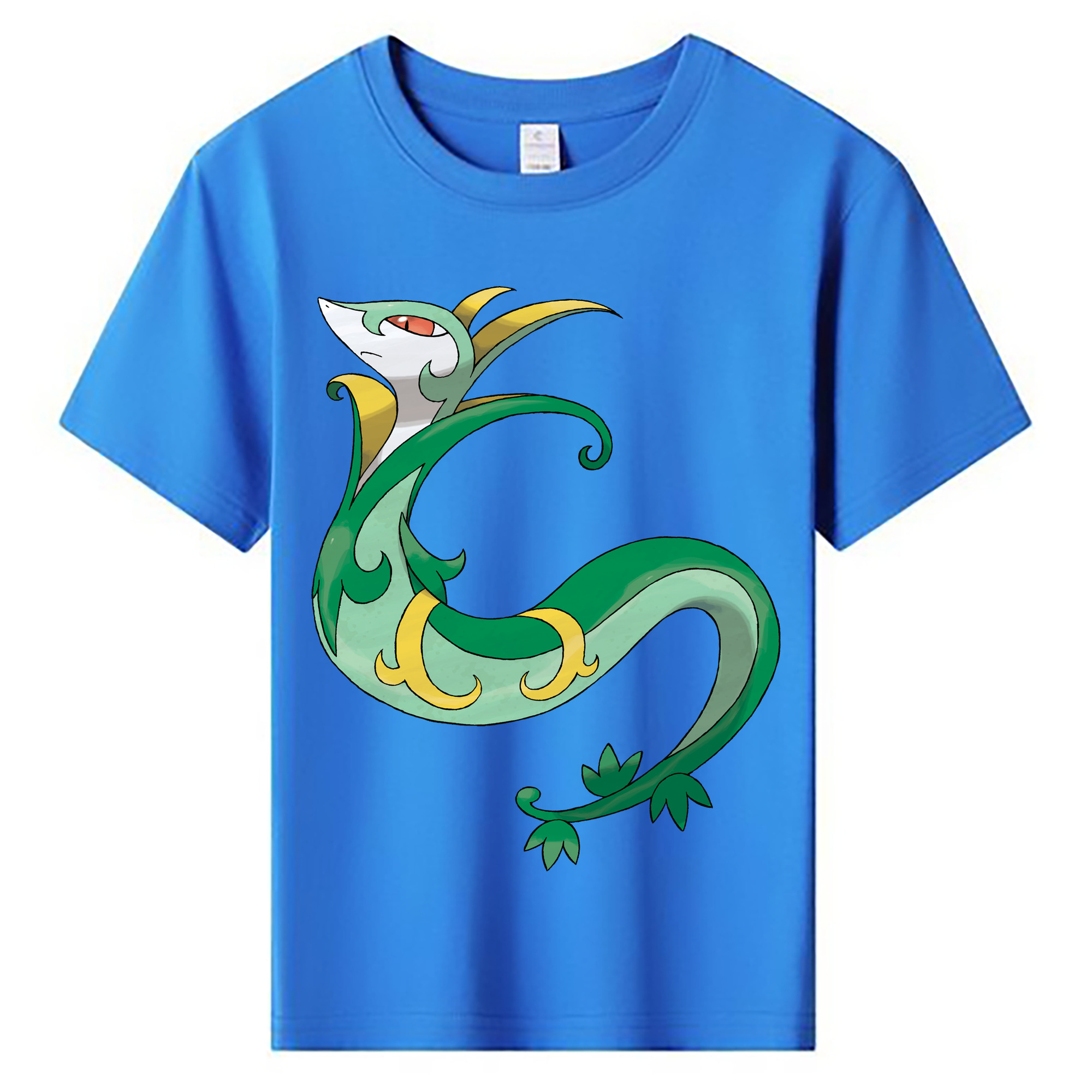 （画像用） ポケットモンスター Pokémon 綿100％キッズTシャツ（フロントプリント）